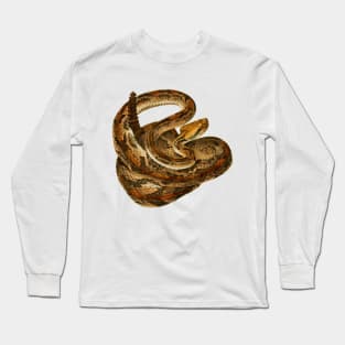 serpent,cobra,reptile,viper,venom,lizard,rattlesnake,king cobra Long Sleeve T-Shirt